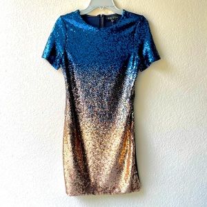 NWT Two tone Sequin short sleeve semi-formal dress